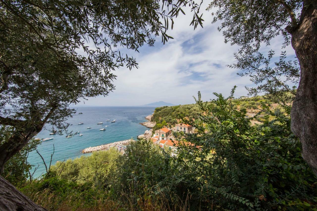 Maison del Mare Sorrento. Extérieur photo