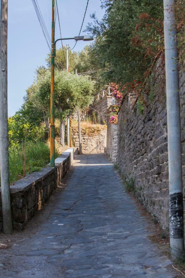 Maison del Mare Sorrento. Extérieur photo